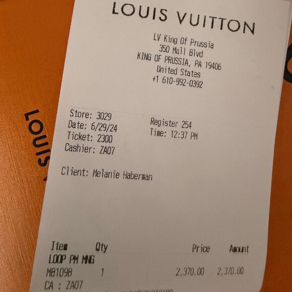 Louis Vuitton Loop Monogram Bag - Picture 10 of 10